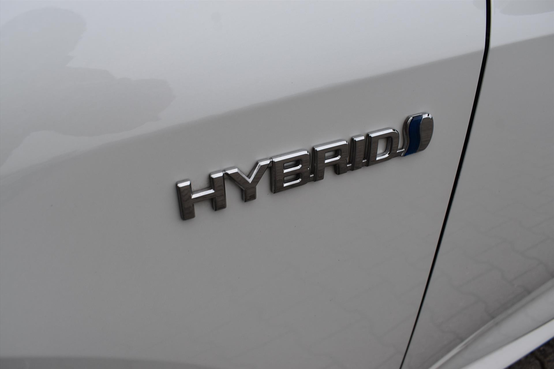 40854971-15.jpg