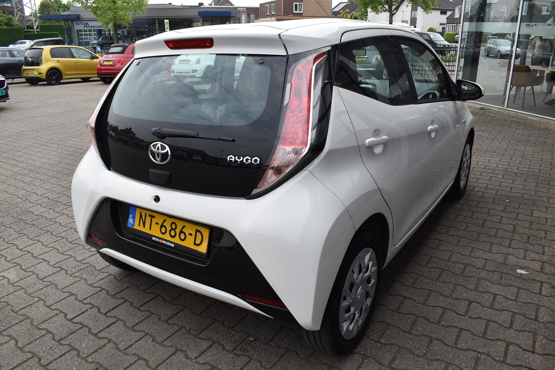 43903894-15.jpg