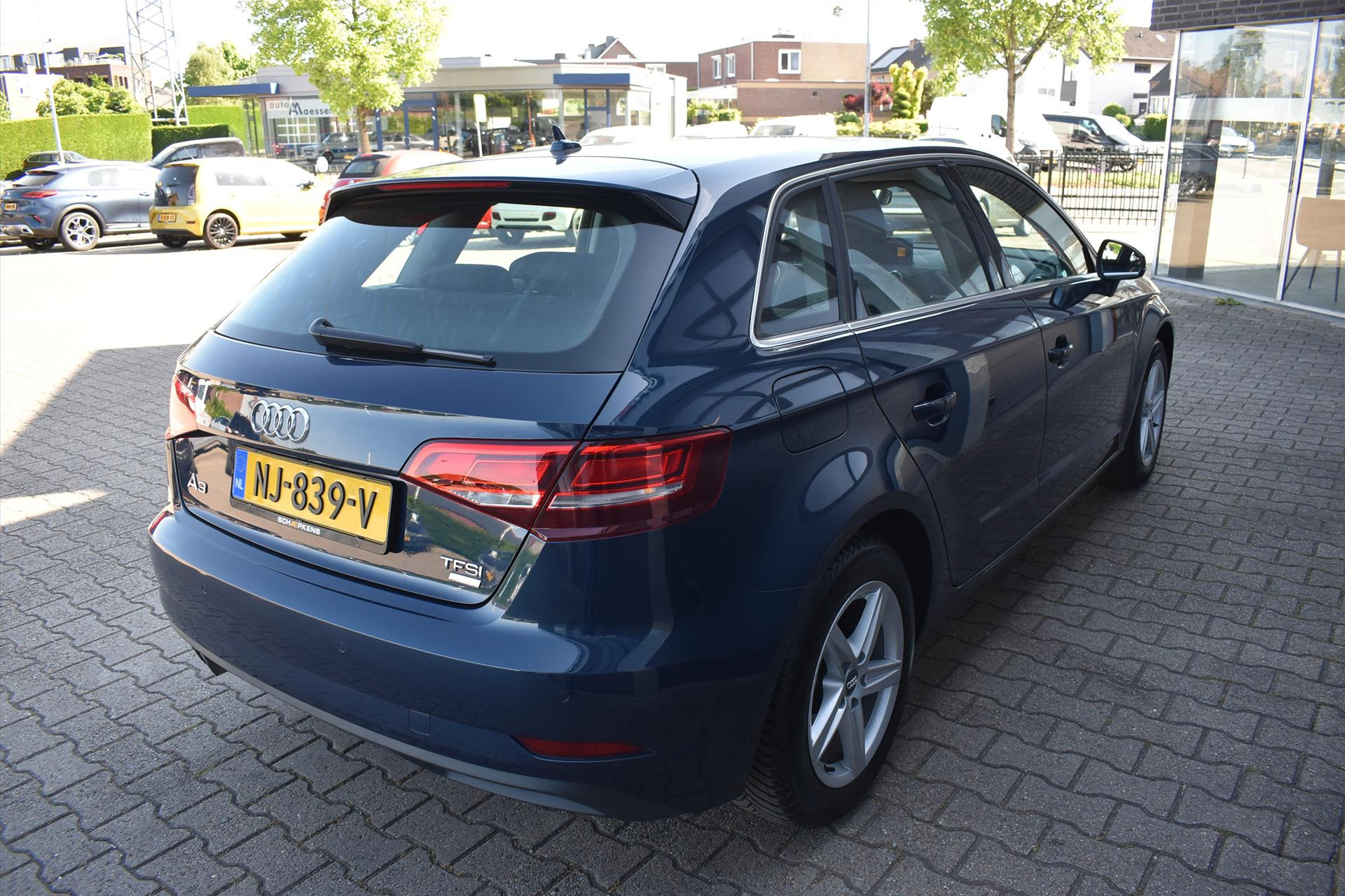 44230170-10.jpg