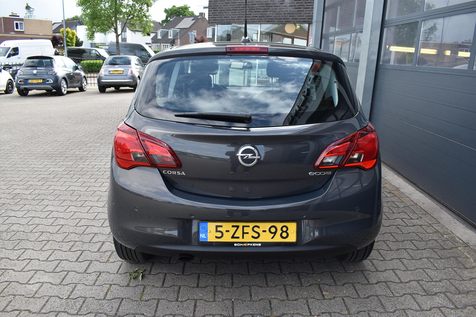 44411593-12.jpg
