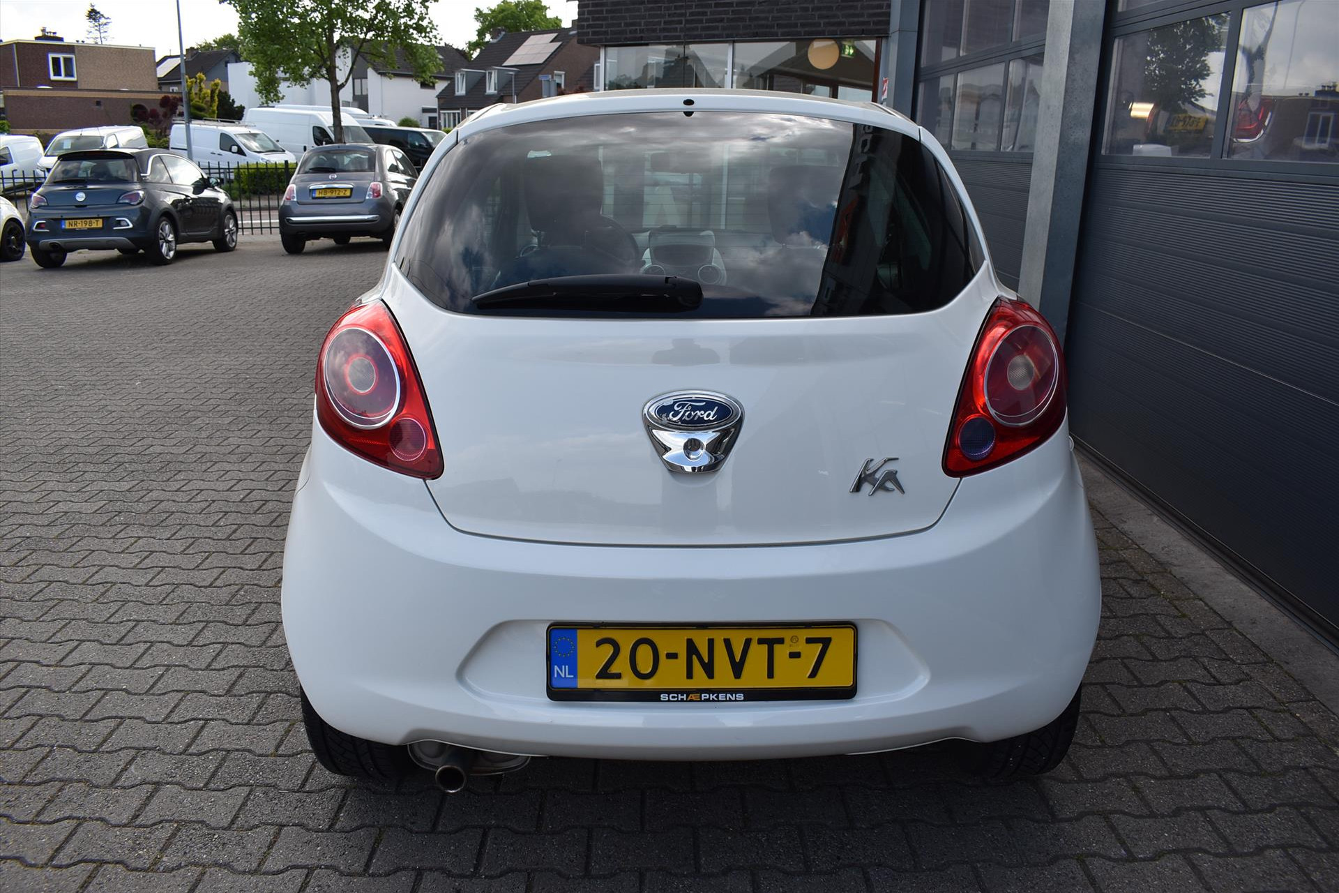 44413179-14.jpg