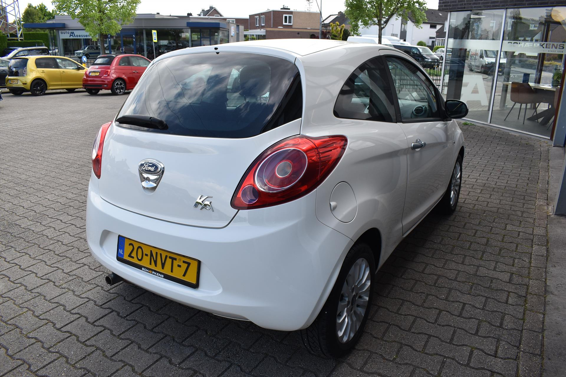 44413179-15.jpg