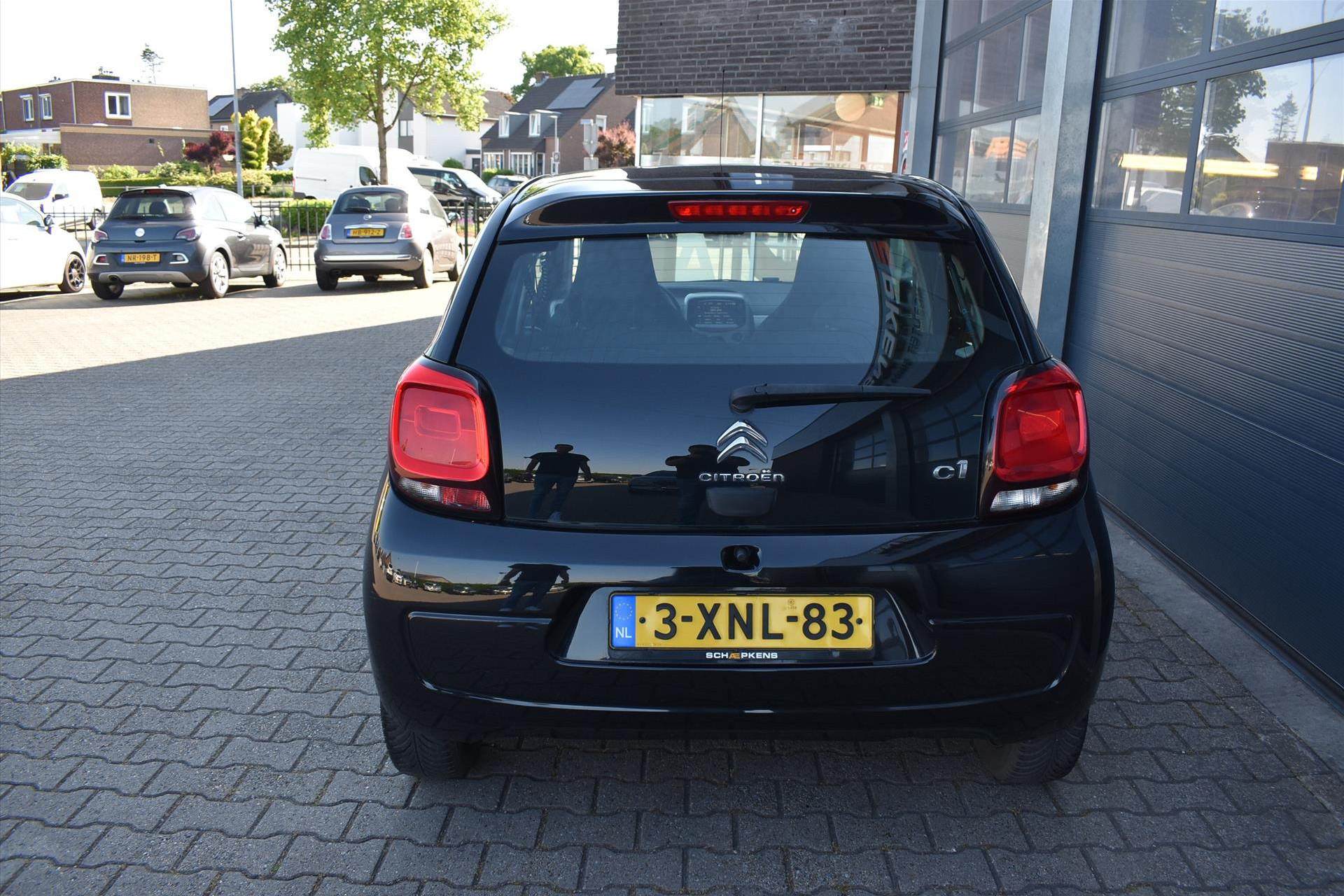 44419553-14.jpg