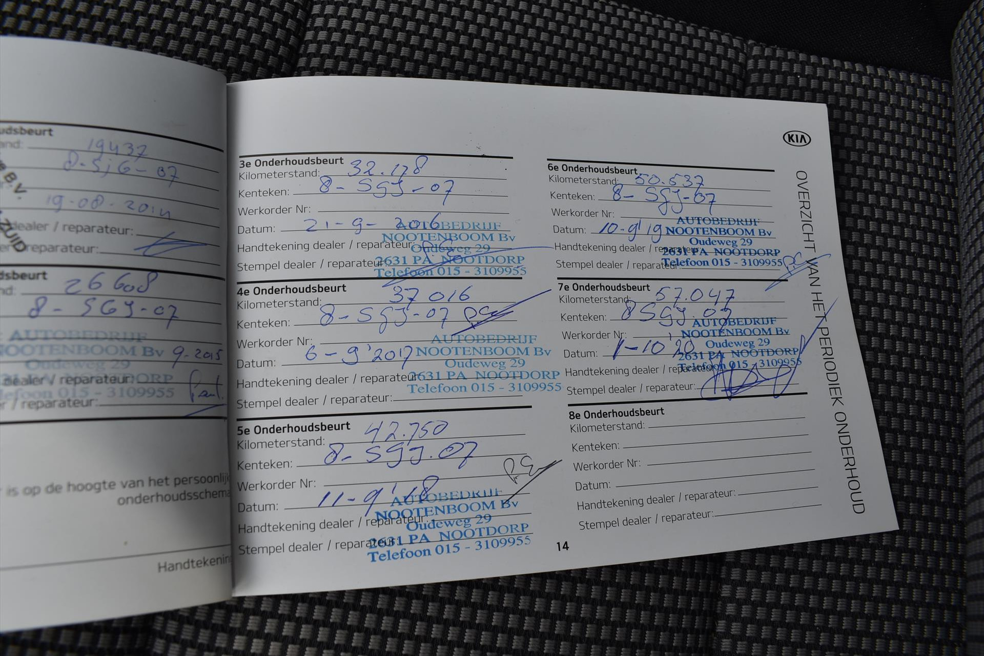 44436103-10.jpg