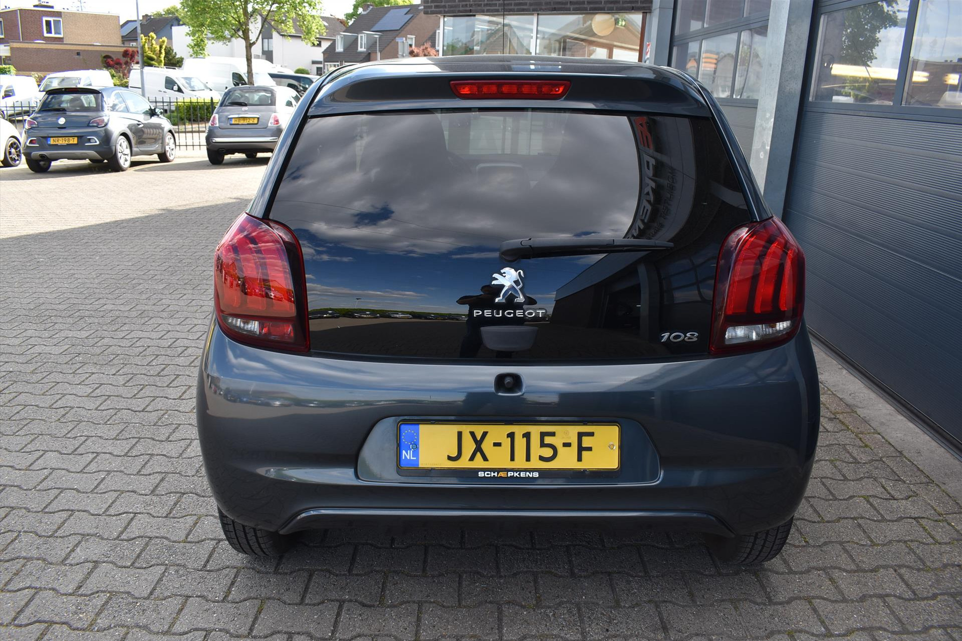 44437908-12.jpg