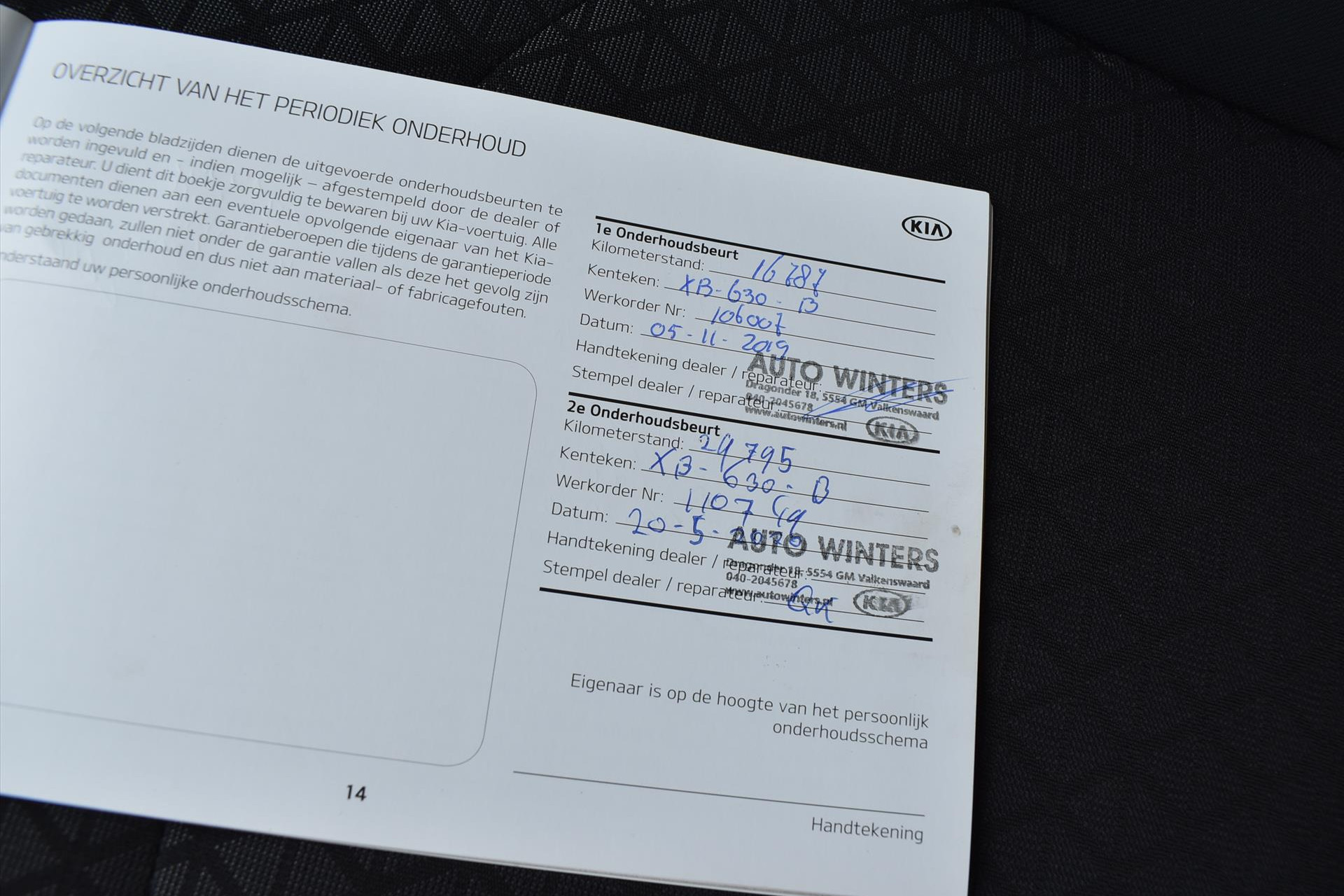 44460745-9.jpg