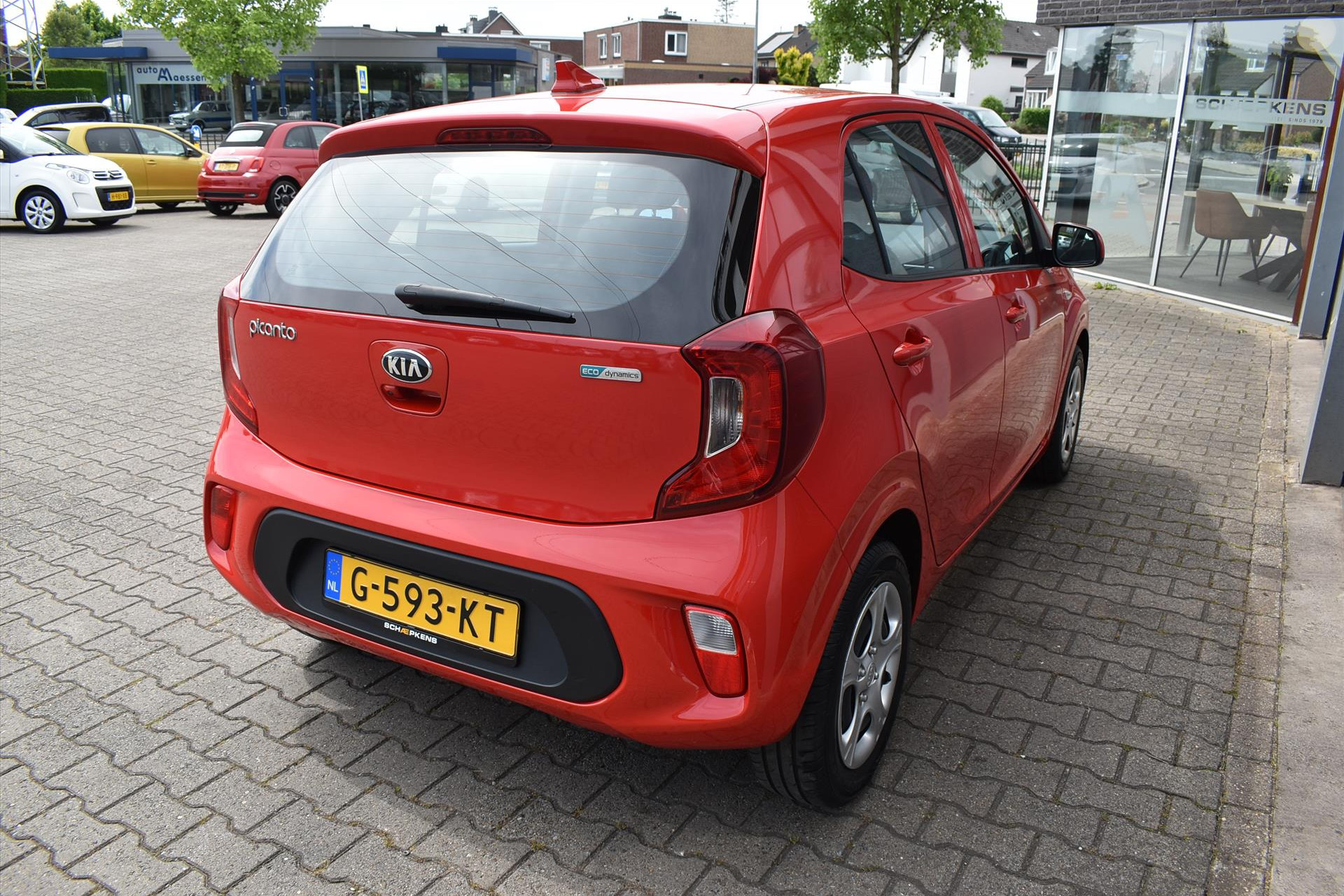 44770295-14.jpg