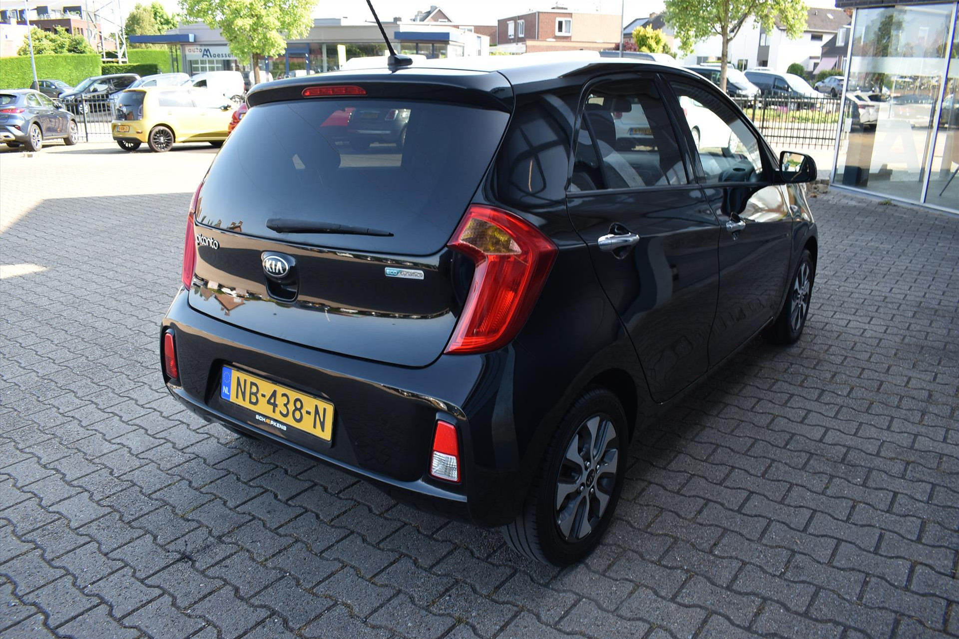 45166805-14.jpg