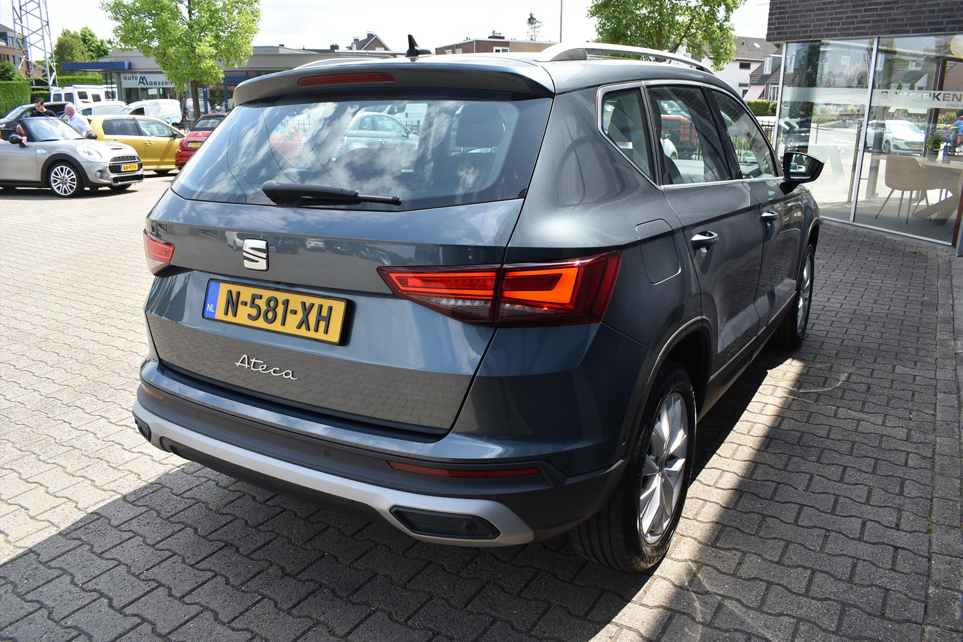 45646972-14.jpg