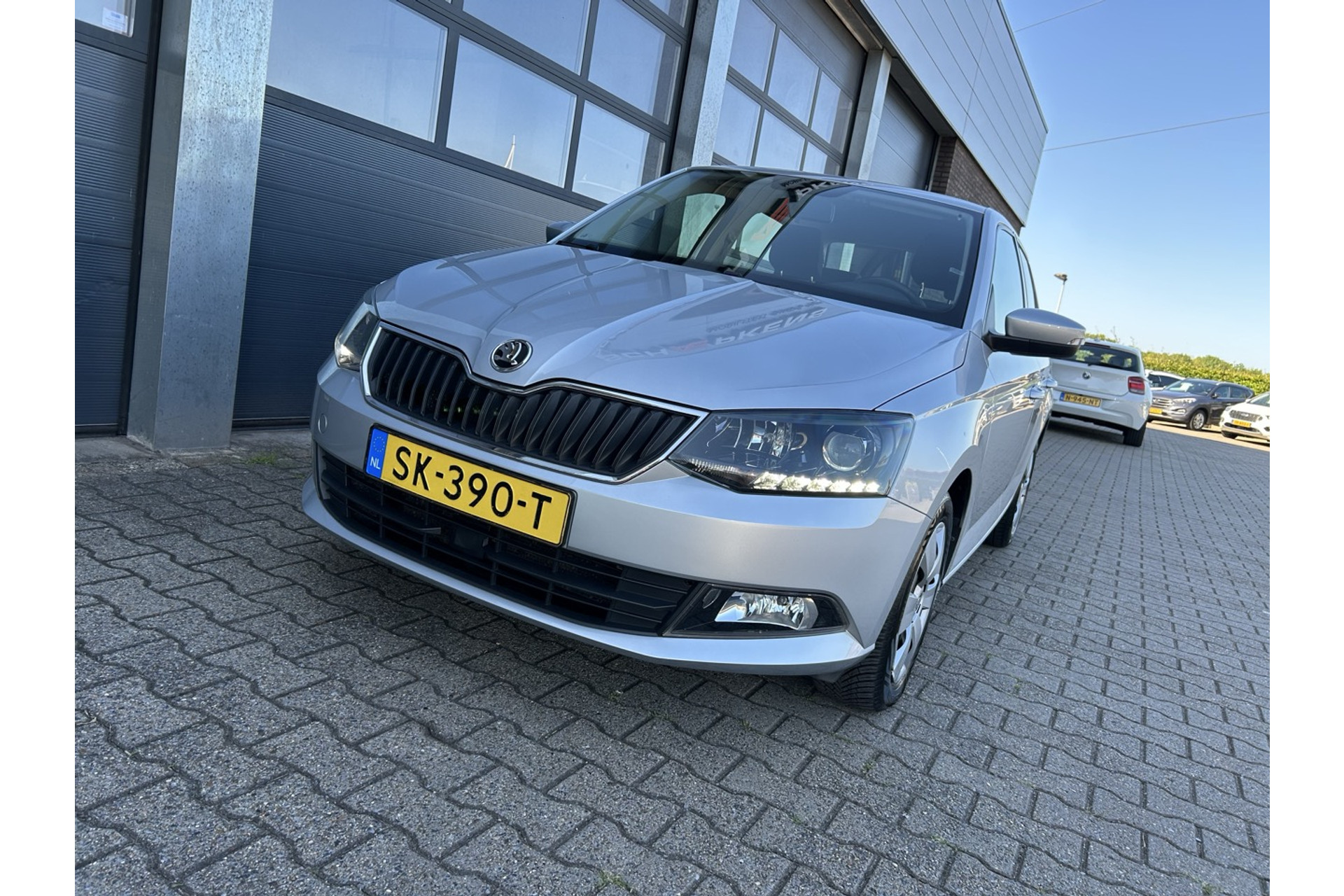 46144164-10.jpg