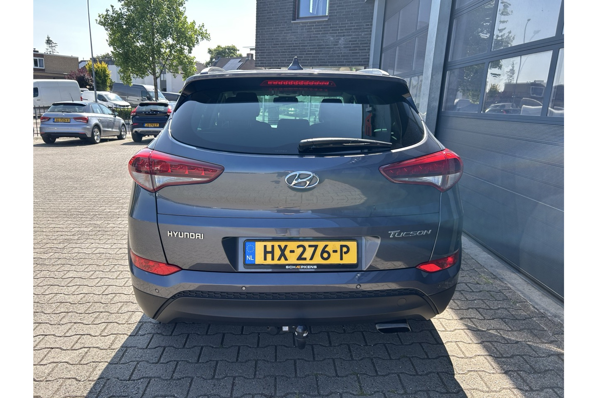 46272220-14.jpg