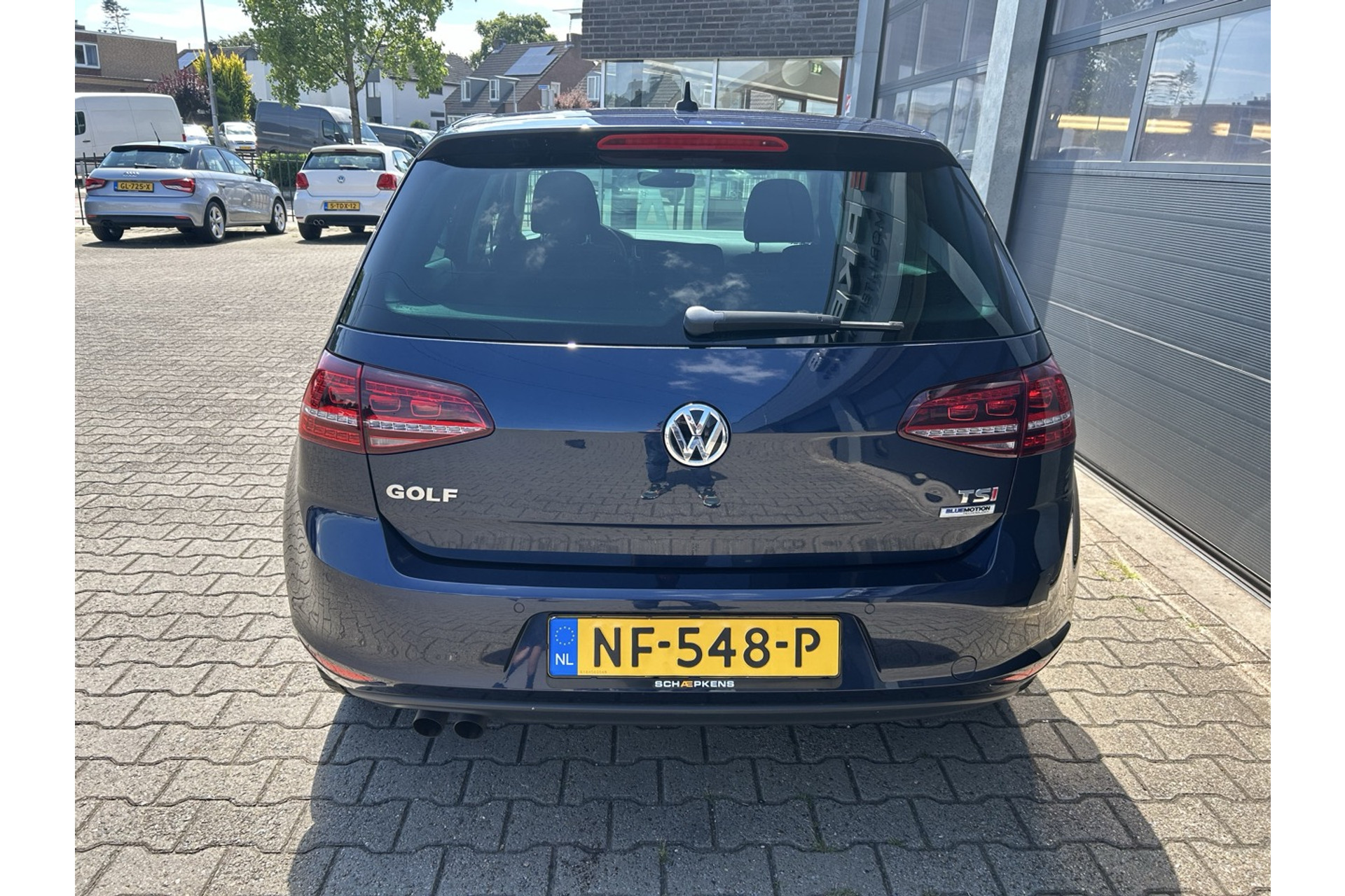 46556955-14.jpg