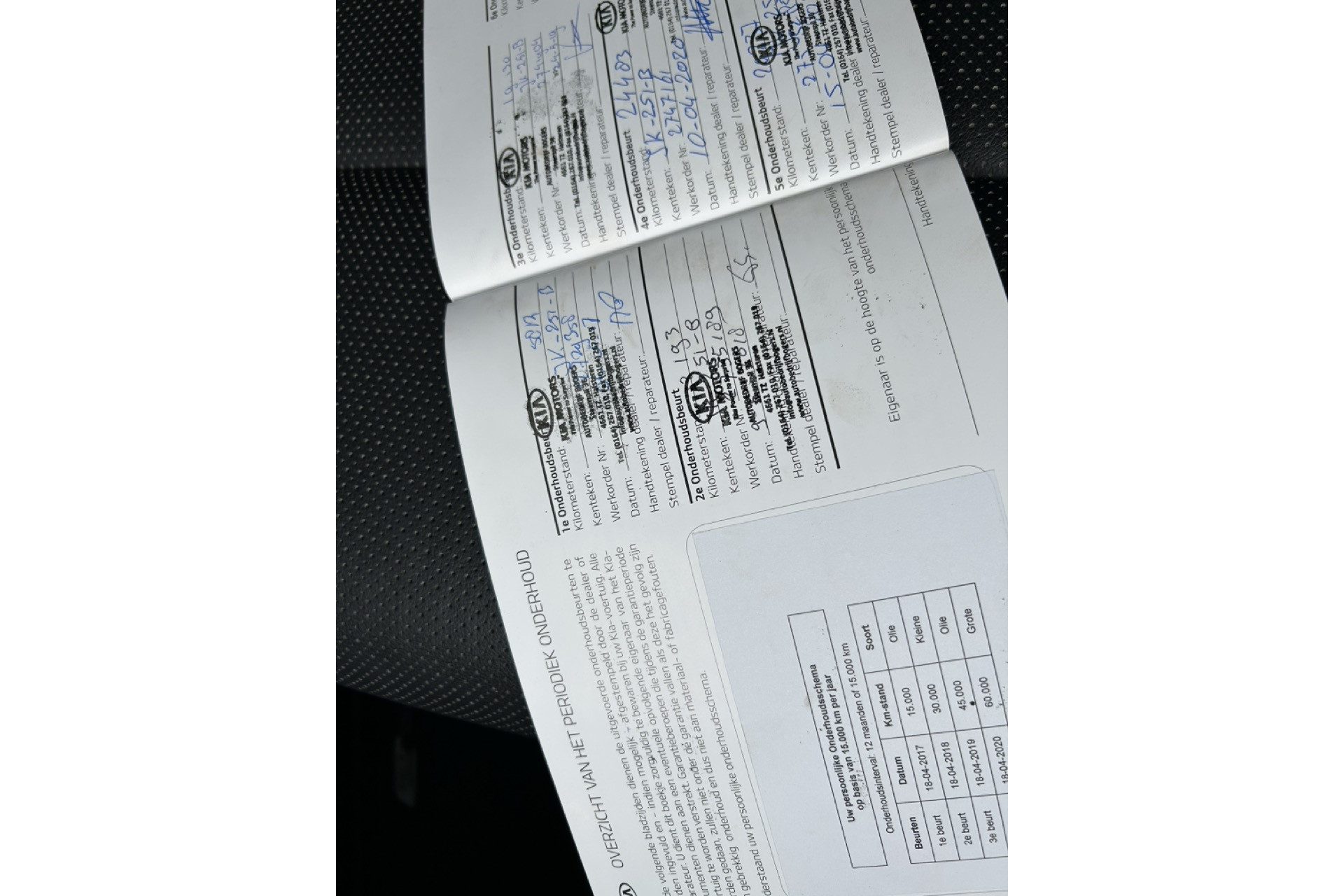 47331194-9.jpg