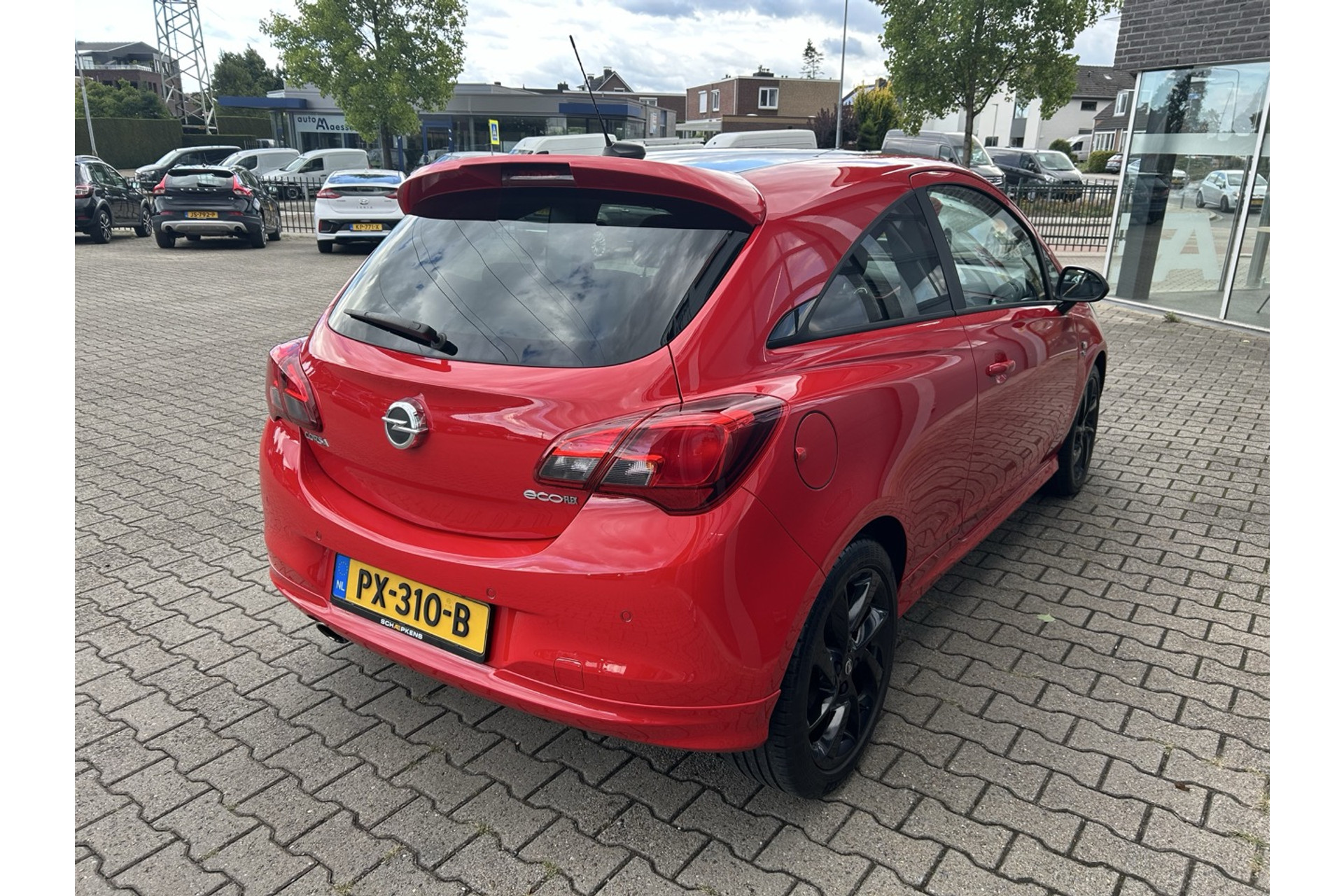 47419391-13.jpg