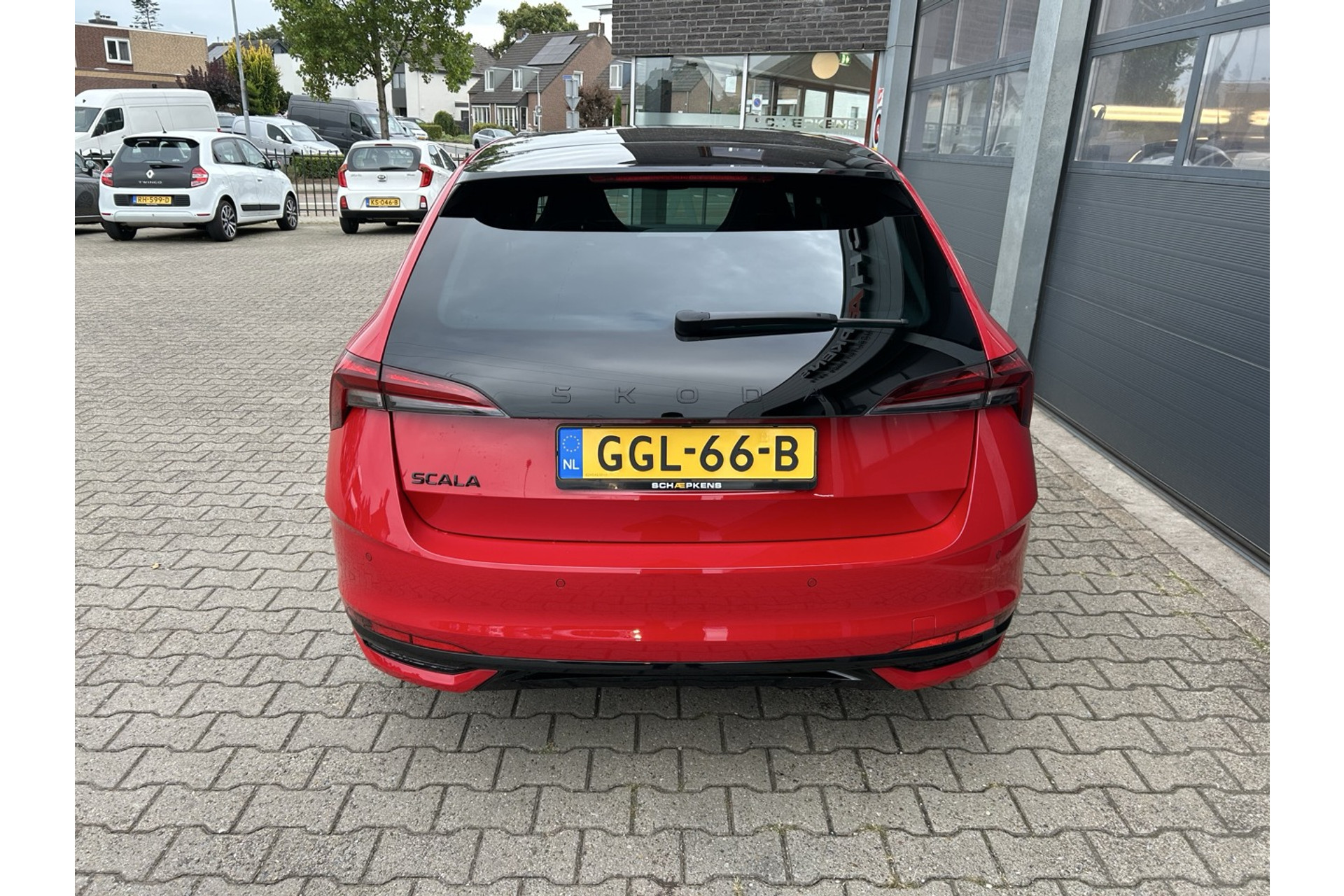 47478318-13.jpg