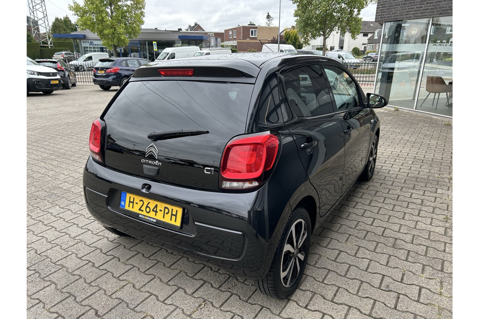 47479124-15.jpg