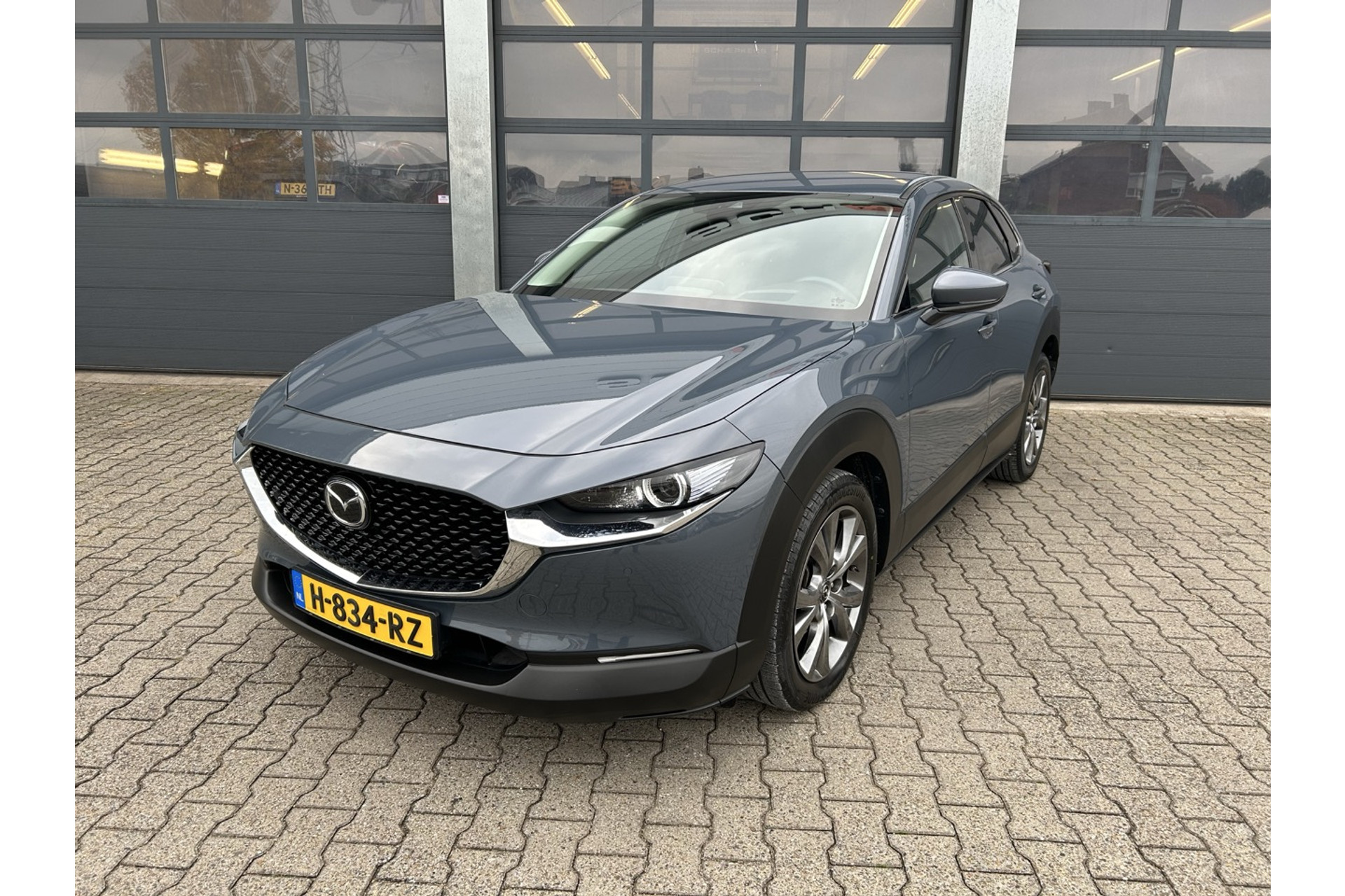 48080529-0.jpg