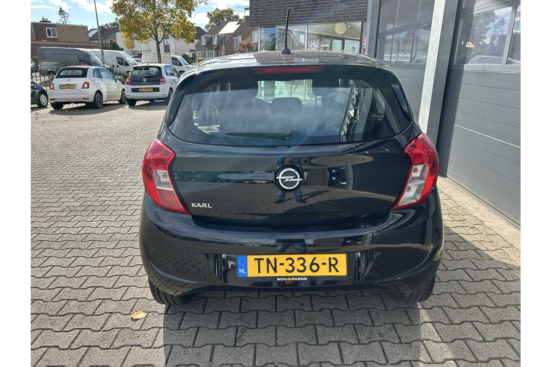 48080884-13.jpg